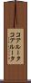 コアルータ Scroll