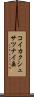 コイカクシュサツナイ岳 Scroll