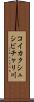 コイカクシュシビチャリ川 Scroll