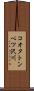 コオタトンベツ沢川 Scroll