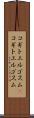 コギトエルゴスム(P) Scroll