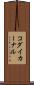 コダイカーナル Scroll