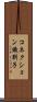 コネクション識別子 Scroll