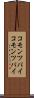コモンツパイ Scroll