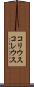 コリウス Scroll