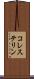 コレステリン Scroll