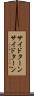 サイドターン Scroll