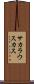 サカラウスカス Scroll