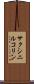 サクシニルコリン Scroll