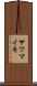 サツマイモ Scroll