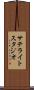 サテライトスタジオ Scroll