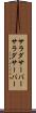 サラダサーバー Scroll