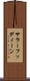 サラーフッディーン Scroll