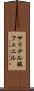 サリチル酸フェニル Scroll