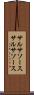 サルサソース Scroll