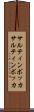 サルティンボッカ Scroll