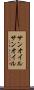 サンオイル Scroll