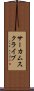 サーカムスクライブ Scroll
