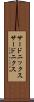 サードニックス Scroll