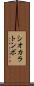 シオカラトンボ Scroll