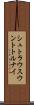 シュトラウスウントトルナイ Scroll