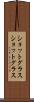 ショットグラス Scroll