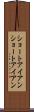 ショートアイアン Scroll