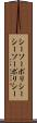 シーソーポリシー Scroll