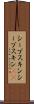 シープスキン Scroll