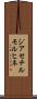 ジアセチルモルヒネ Scroll