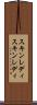 スキンレディ Scroll