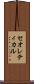 セオレティカル Scroll