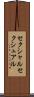 セクシャル Scroll