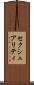 セクシュアリティ Scroll