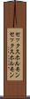 セックスホルモン Scroll