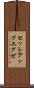 セットアップエグゼ Scroll