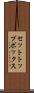 セットトップボックス Scroll