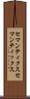 セマンティクス Scroll