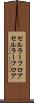 セルラーフロア Scroll
