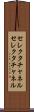 セレクタチャネル Scroll