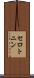 セロトニン Scroll
