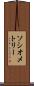 ソシオメトリー Scroll