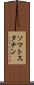 ソマトスタチン Scroll