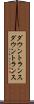 ダウントランス Scroll