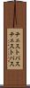 チェストパス Scroll