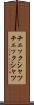 チェックシャツ Scroll
