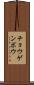 チョウゲンボウ Scroll