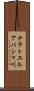 チラトエルアバシャ川 Scroll