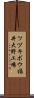 ツヅキボウ福井大野工場 Scroll