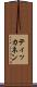 ティッカネン Scroll